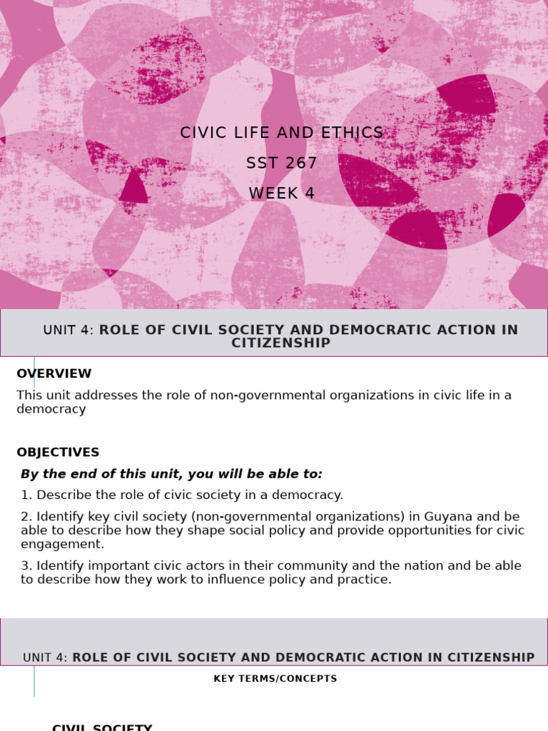 Role of NGOs in Guyana's Civic Life | PDF | Civil Society | Non ...