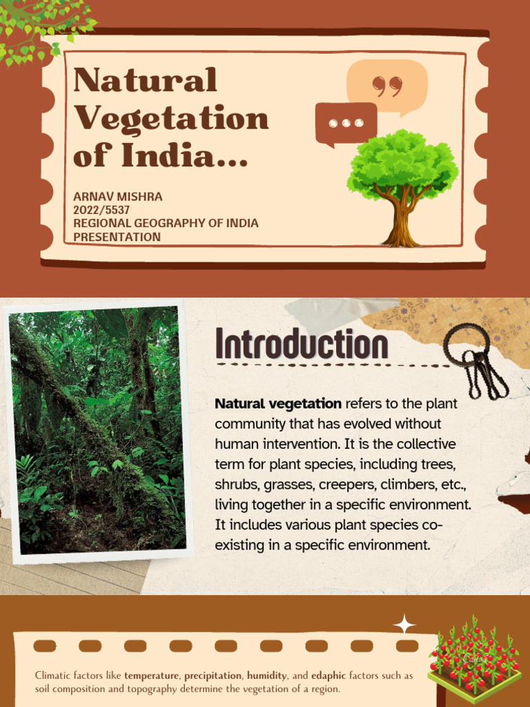Natural Vegetation of the Himalayas | PDF | Forests | Himalayas