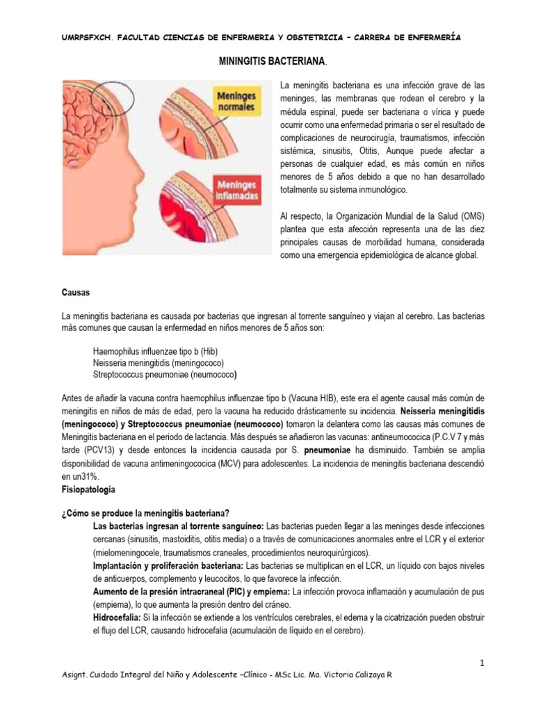 Meningitis Bacteriana en Niños | PDF | Meningitis | Fluido cerebroespinal