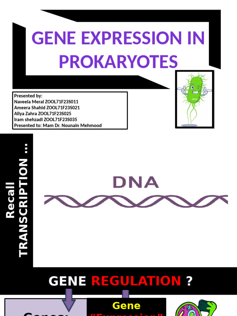 Gene Expression Regulation in Prokaryotes | PDF | Operon | Repressor
