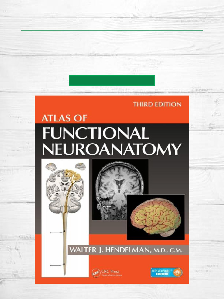 Claim Atlas of Functional Neuroanatomy - 3rd Edition Digital PDF ...