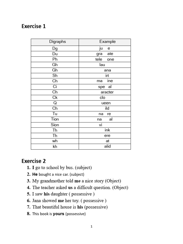 English Grammar Exercises for Beginners | PDF