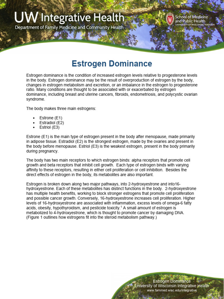 Understanding Estrogen Dominance | PDF | Estrogen | Estradiol