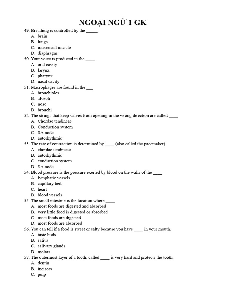 Ngo I NG 1 GK | PDF | Digestion | Heart