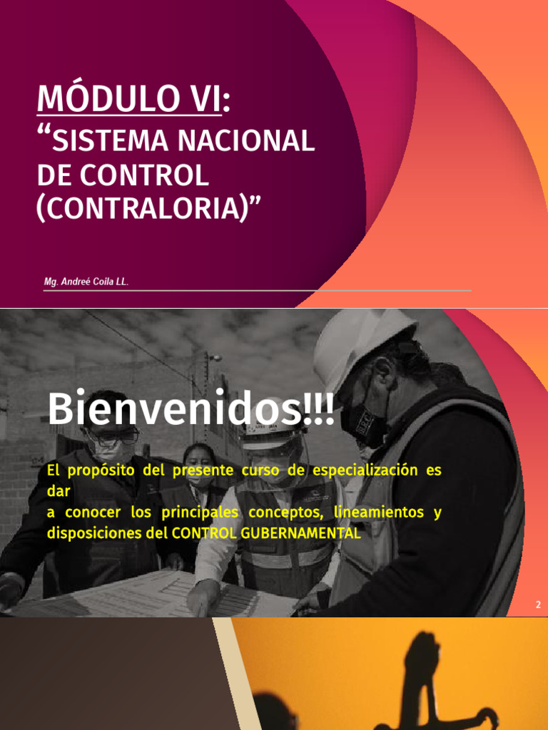 Control Gubernamental en Perú: Módulo VI | PDF | Auditoría | Business