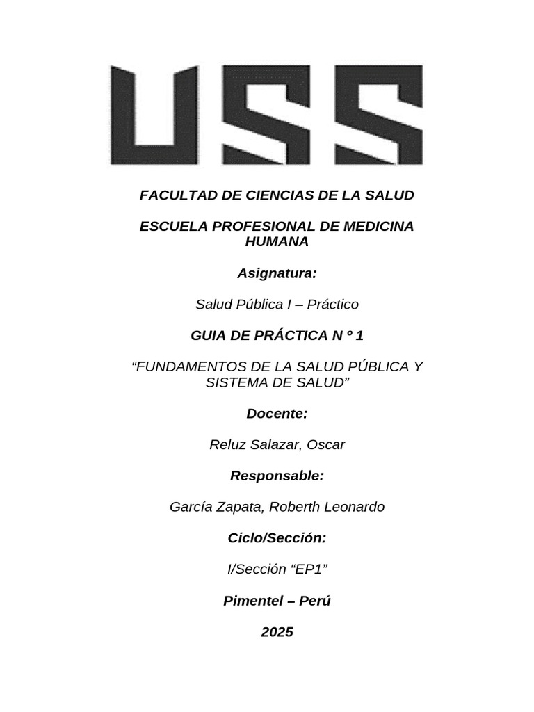 Fundamentos de Salud Pública y Sistema Sanitario | PDF | Cuidado de la ...
