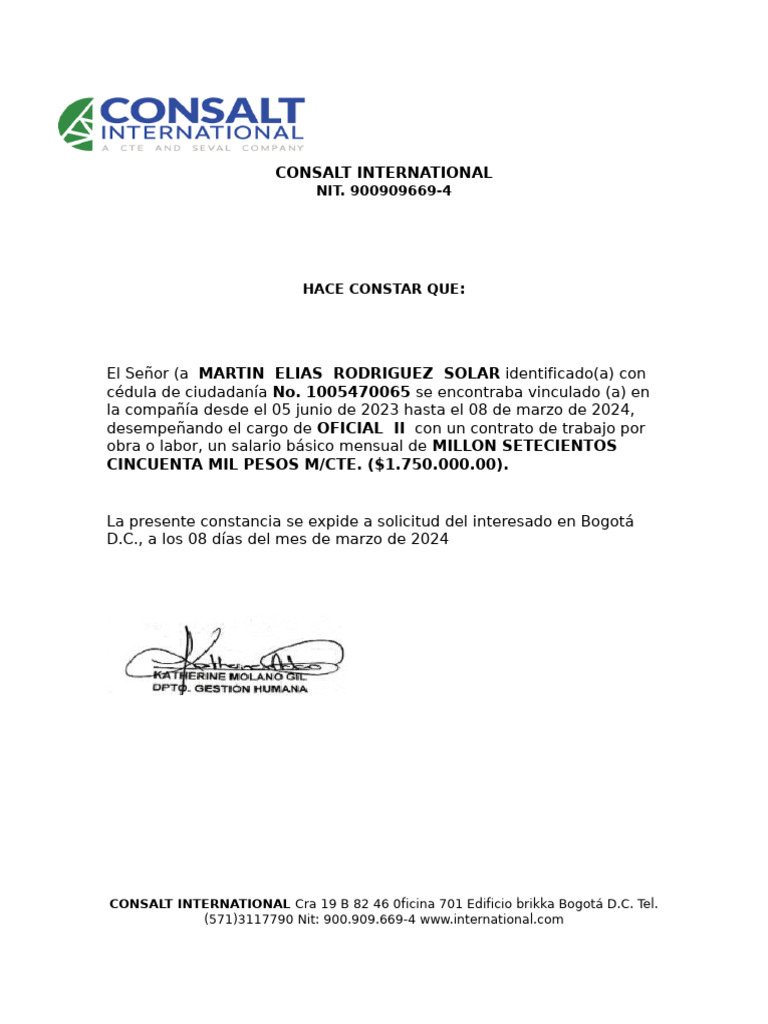 Consalt International Respaldo en Work | PDF