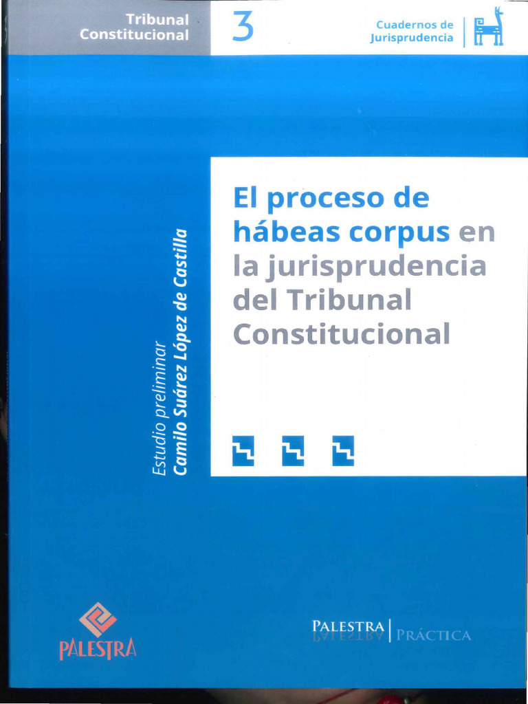 Proceso de Hábeas Corpus en Jurisprudencia | PDF | Habeas corpus | Caso ...