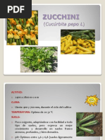 Download Zucchini by Patyta Coello SN86531543 doc pdf