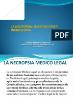 Autopsia Medico Legal