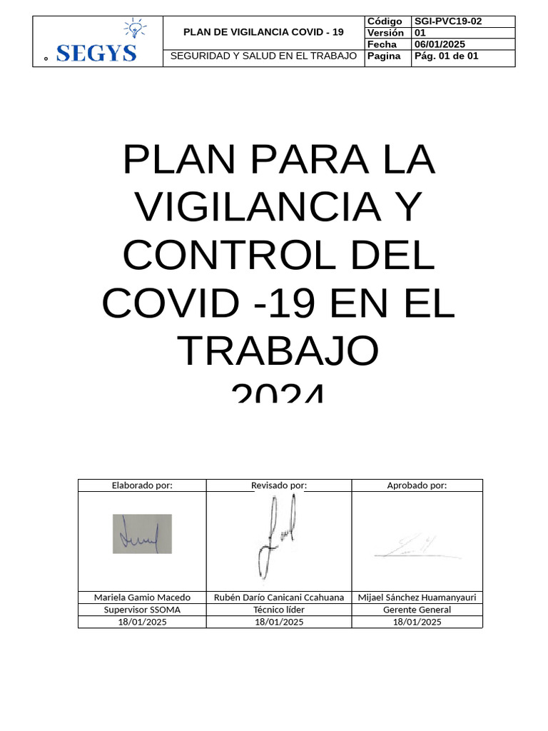 Plan Covid Segys | PDF | Lavado de manos | Medicina