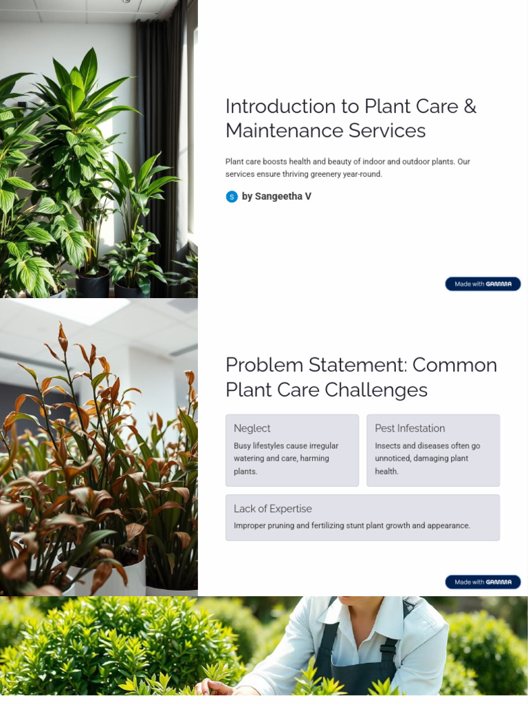 Introduction To Plant Care and Maintenance Services | PDF | Pruning ...