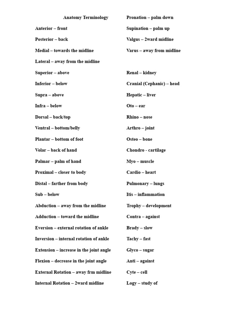 Cephanic Anatomy Terminology Guide | PDF