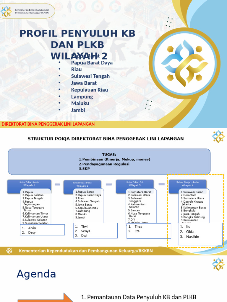 Profil Penyuluh KB dan PLKB Wilayah II | PDF