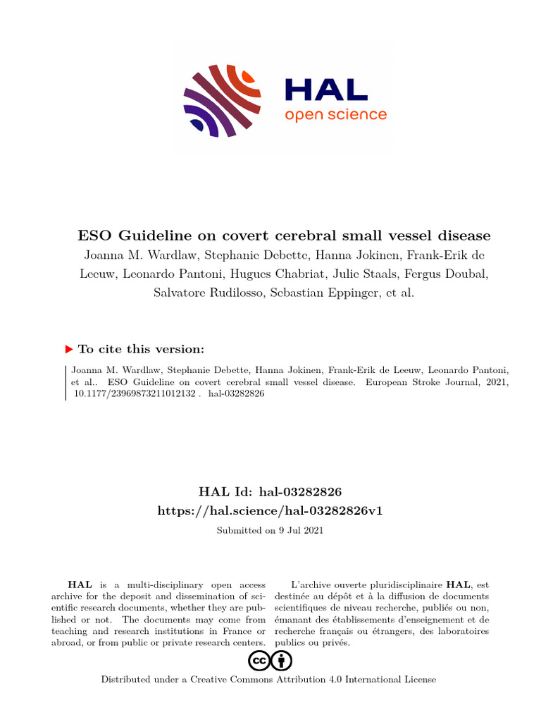 ESO Guideline On Covert Cerebral Small Vessel Diseas, 2021 | PDF ...