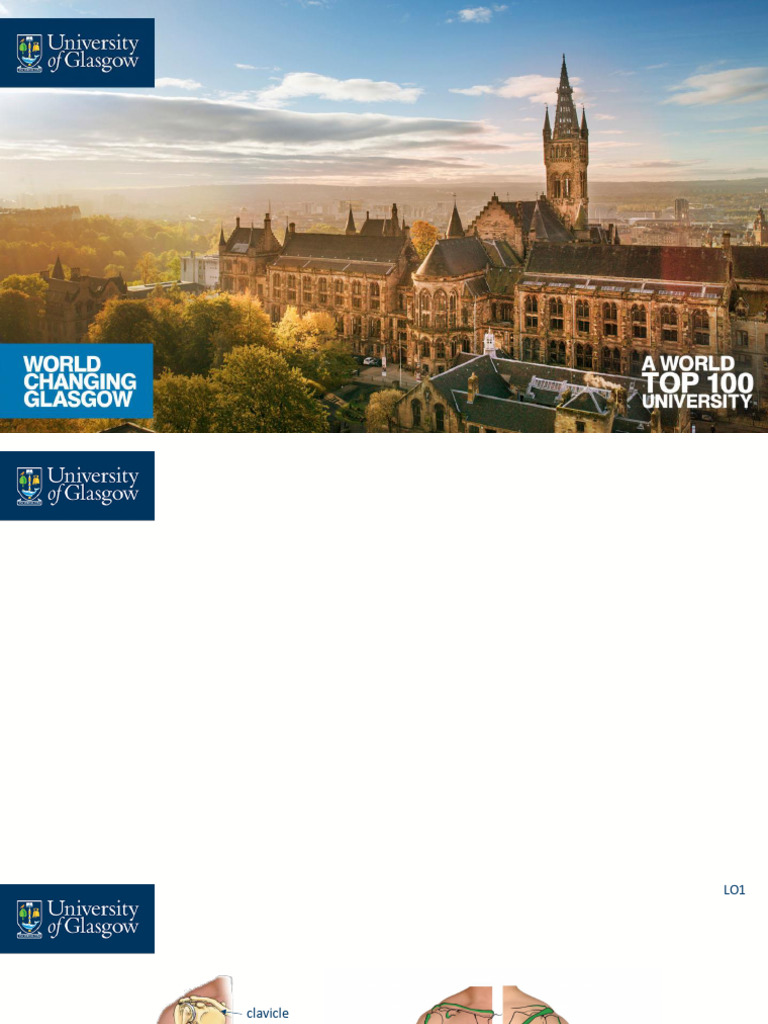 Anatomy Week 1 Slides Combined | PDF | Elbow | Anatomical Terms Of Motion