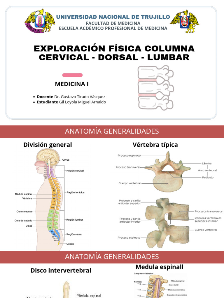 Exploración Física de la Columna Vertebral | PDF