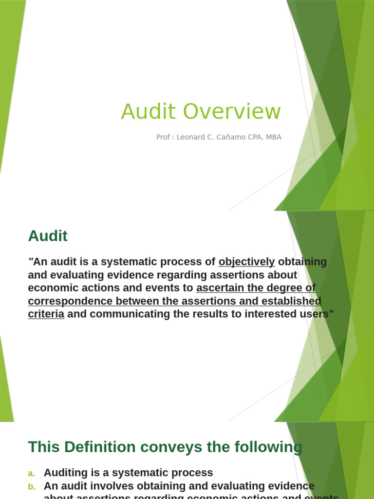 1. Audit Overview | PDF | Audit | Financial Audit