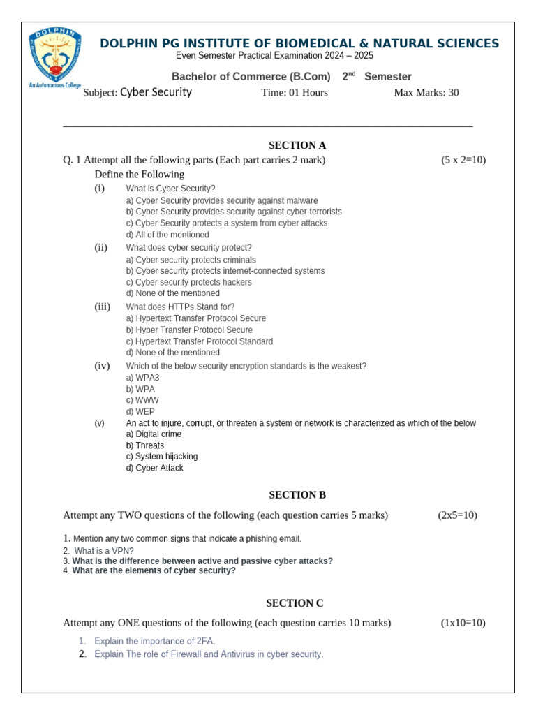 Cyber Security Exam Questions 2024 | PDF