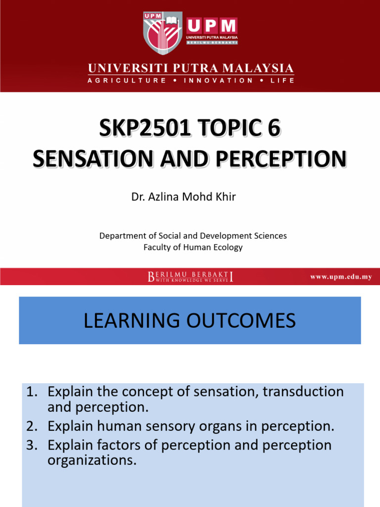 Understanding Sensation and Perception | PDF | Senses | Perception