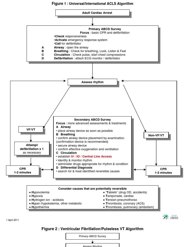ACLS Algorithms for Adult Cardiac Arrest | PDF | Wellness
