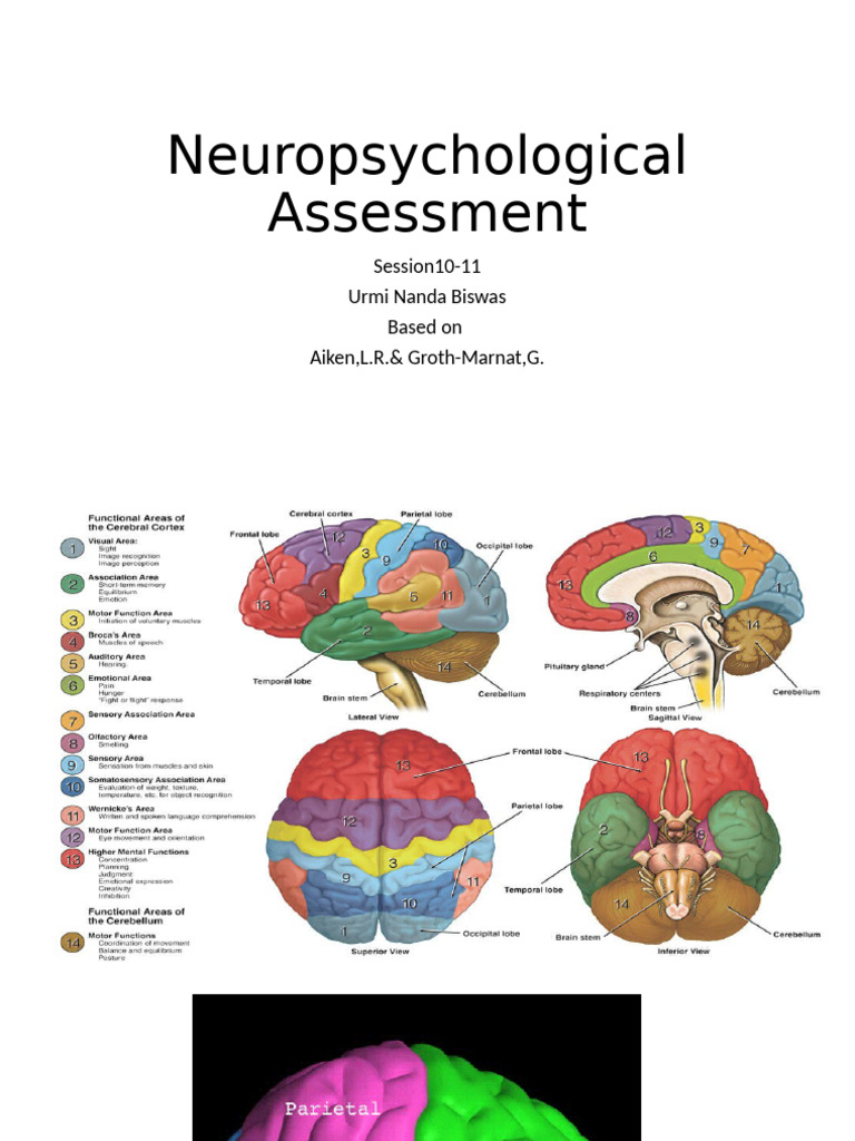 Neuropsychological Assessment Overview | PDF | Neuropsychological ...