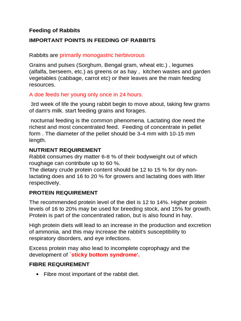 Nutritional Guidelines for Feeding Rabbits | PDF | Vitamin A | Dietary ...