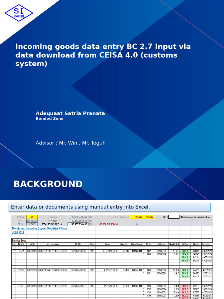 CEISA 4.0 Data Entry Improvements | PDF | Microsoft Excel | Computing