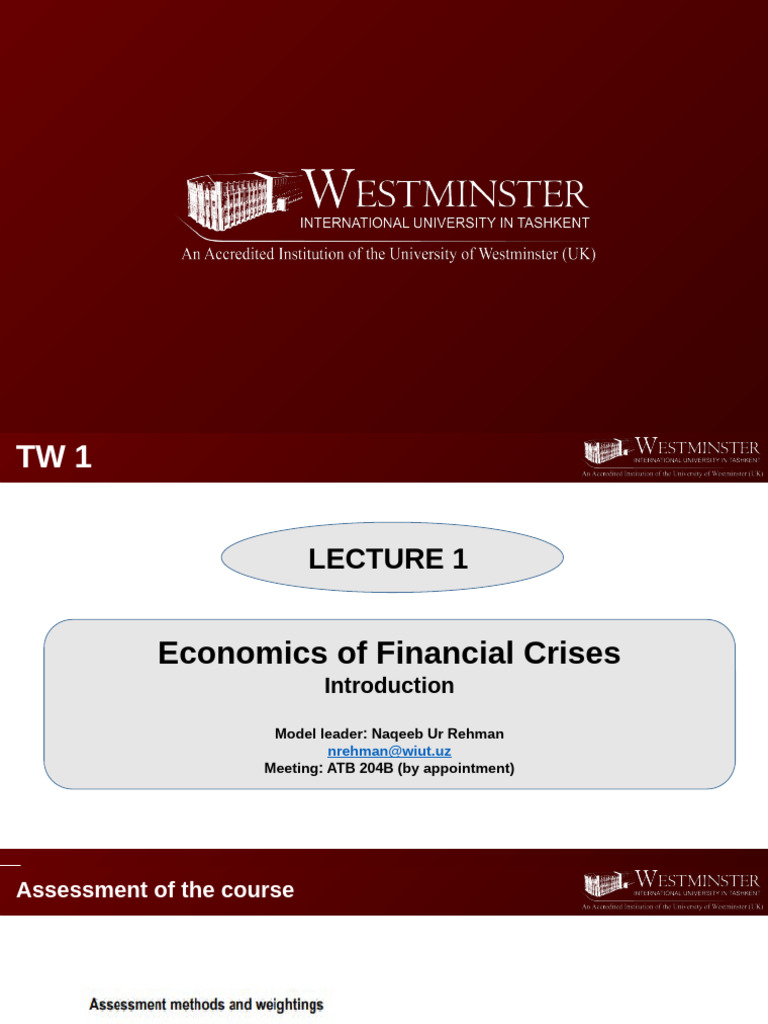 Understanding Financial Crises: Key Insights | PDF