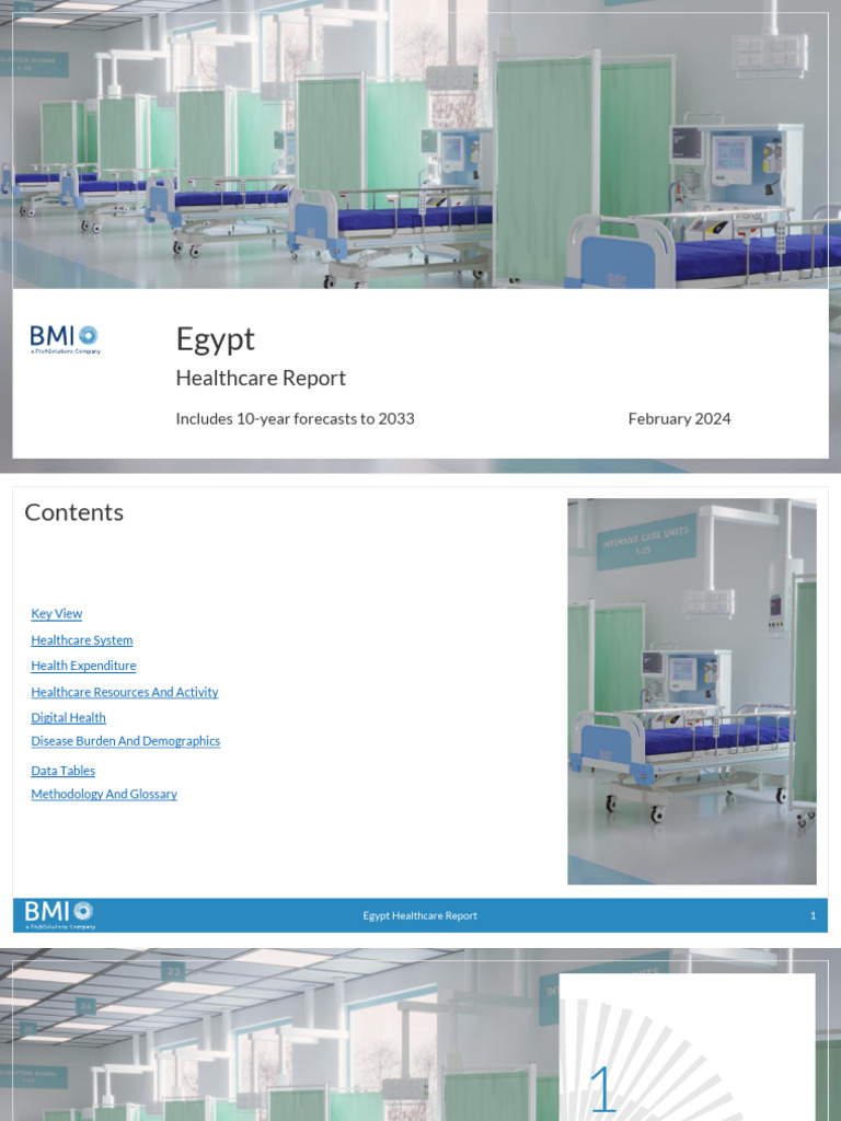 Egypt Healthcare System Overview 2024 | PDF | Health Care | Gross ...