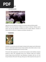 Download Hewan dan Tumbuhan Langkah by ariatman SN86546136 doc pdf