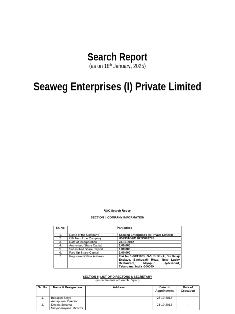 Format of Search Report | PDF