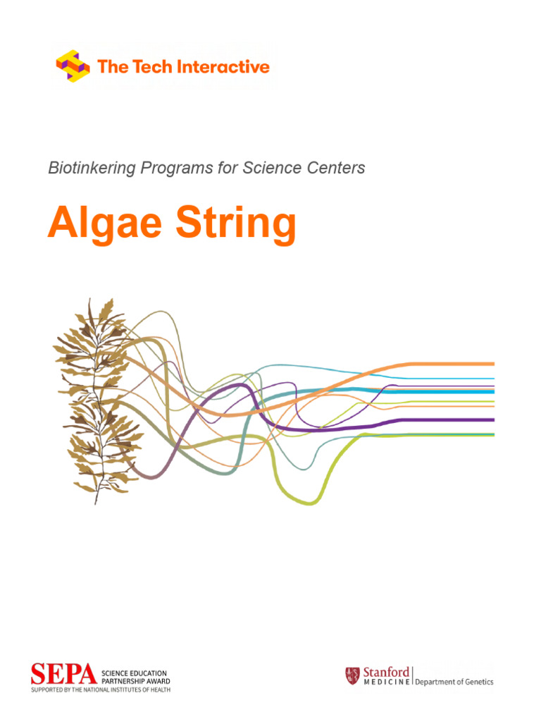 Algae String Crafting Guide | PDF | Biopolymer | Cross Link