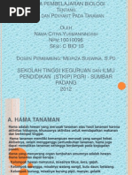 Download Hama Dan Penyakit Pada Tanaman by Rafki Calon Jhorong Season II SN86549040 doc pdf