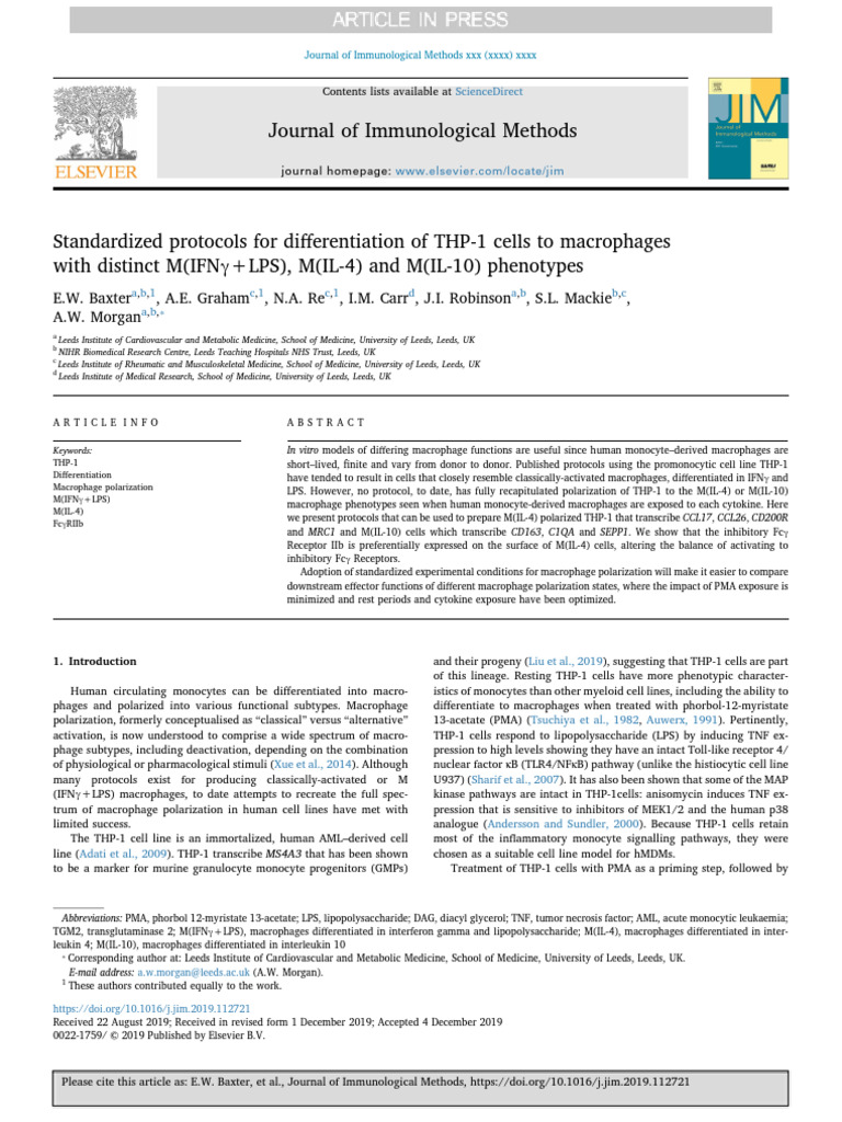 THP-1 Macrophage Differentiation Protocols | PDF | Macrophage ...