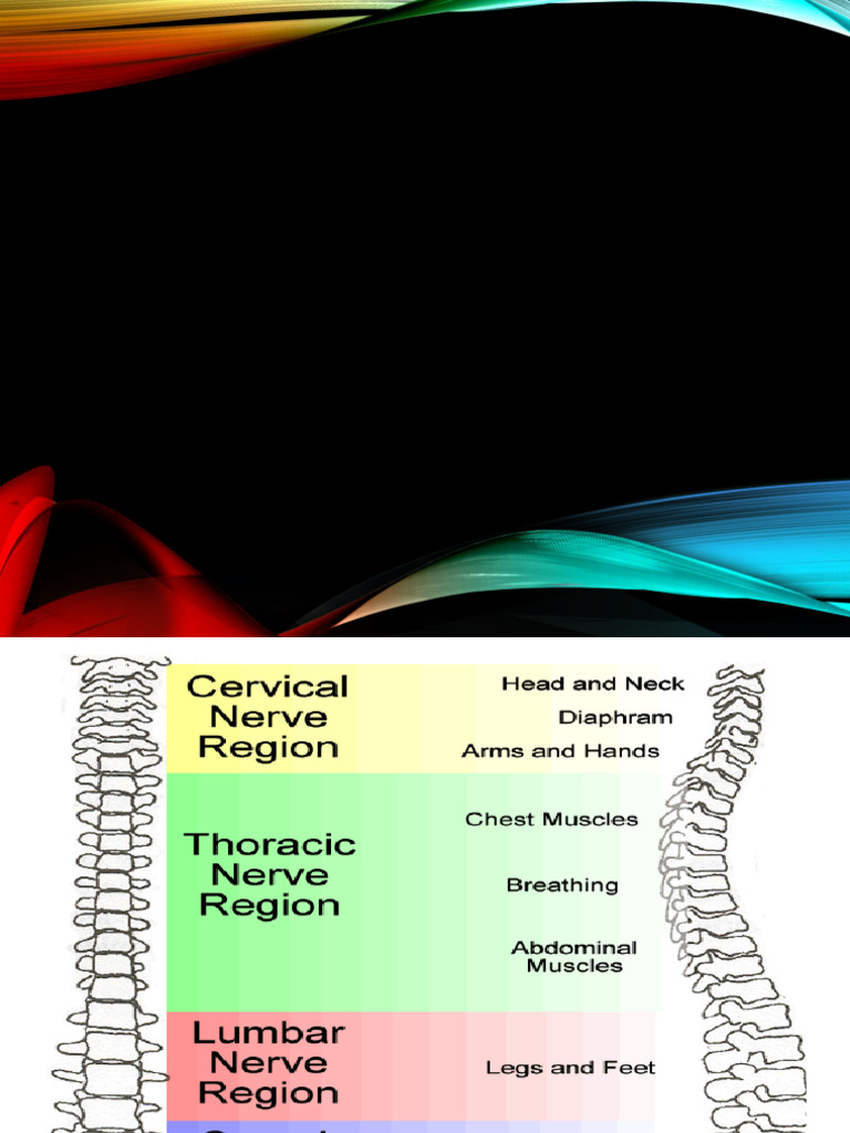 Comprehensive Neurologic Assessment Guide | PDF | Coma | Speech