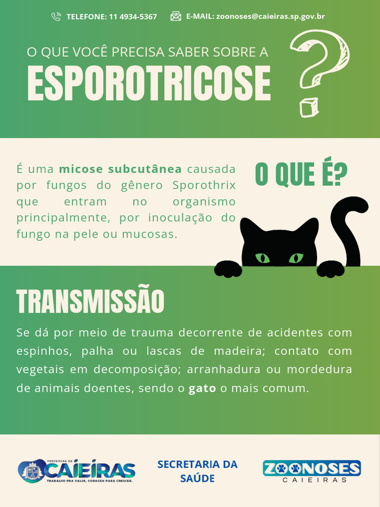 Panfleto Esporotricose | PDF