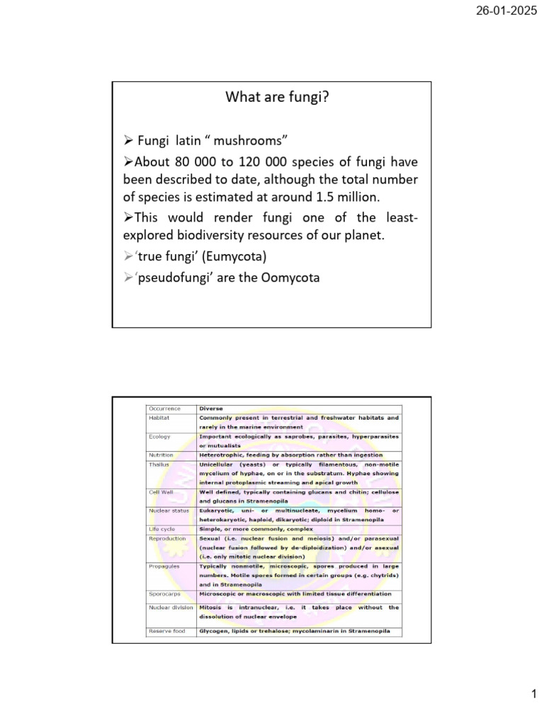Overview of Fungi: Types and Characteristics | PDF | Fungus | Ploidy