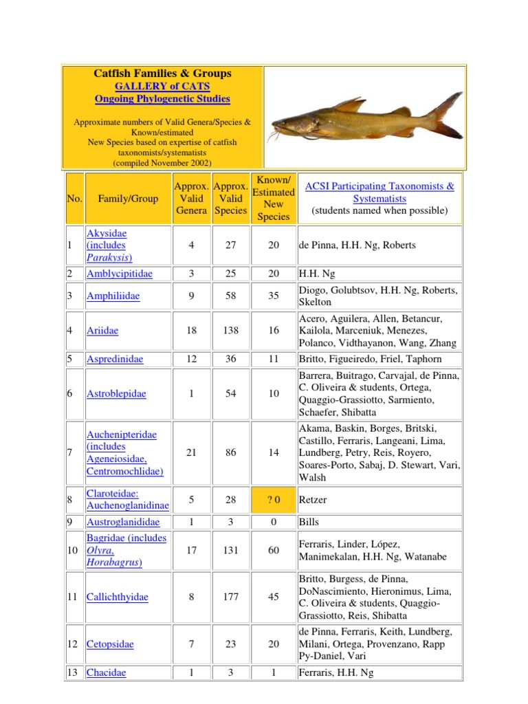 Catfish Taxonomy Overview | PDF | Fishkeeping | Fish And Humans