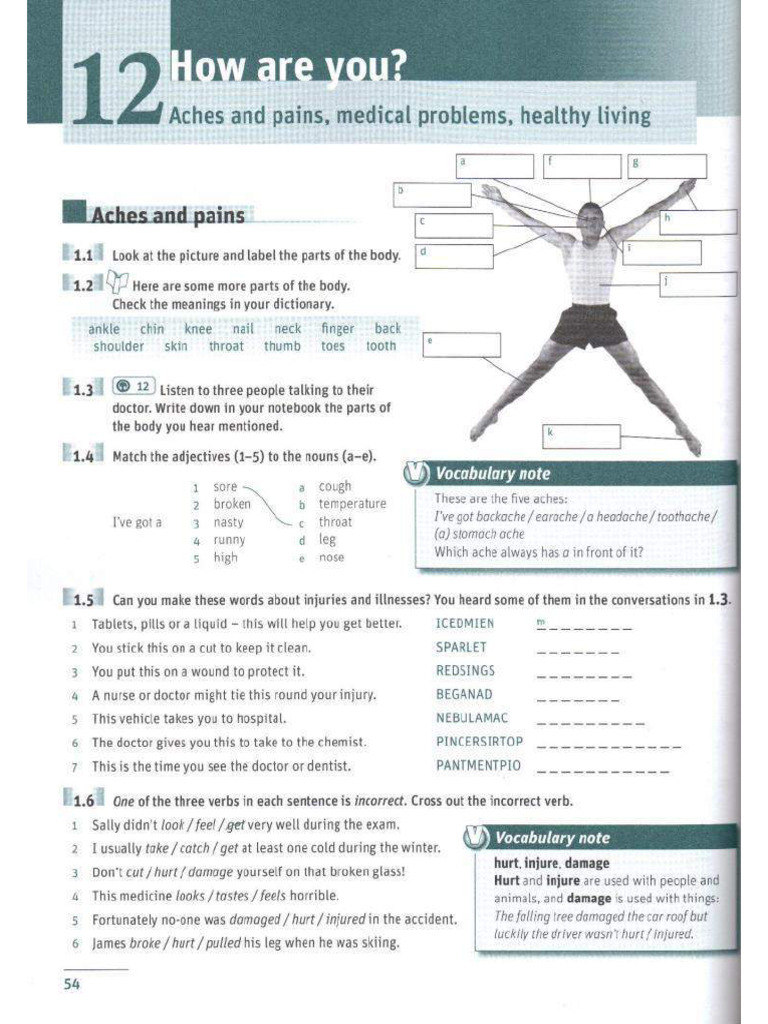The Body | PDF