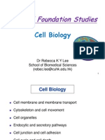 Panel of Foundation Studies: Cell Biology