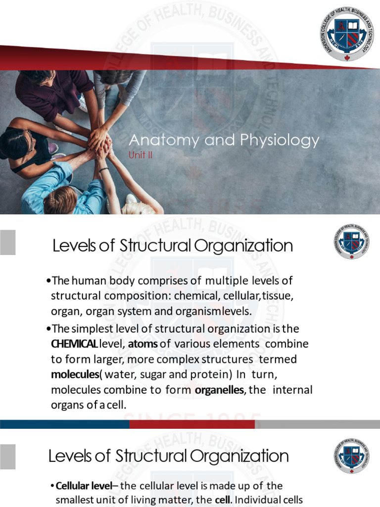 Levels of Human Body Organization | PDF | Human Body | Homeostasis