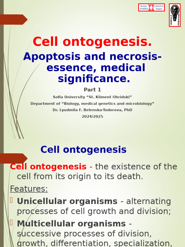 Understanding Apoptosis Mechanisms | PDF | Apoptosis | Caspase