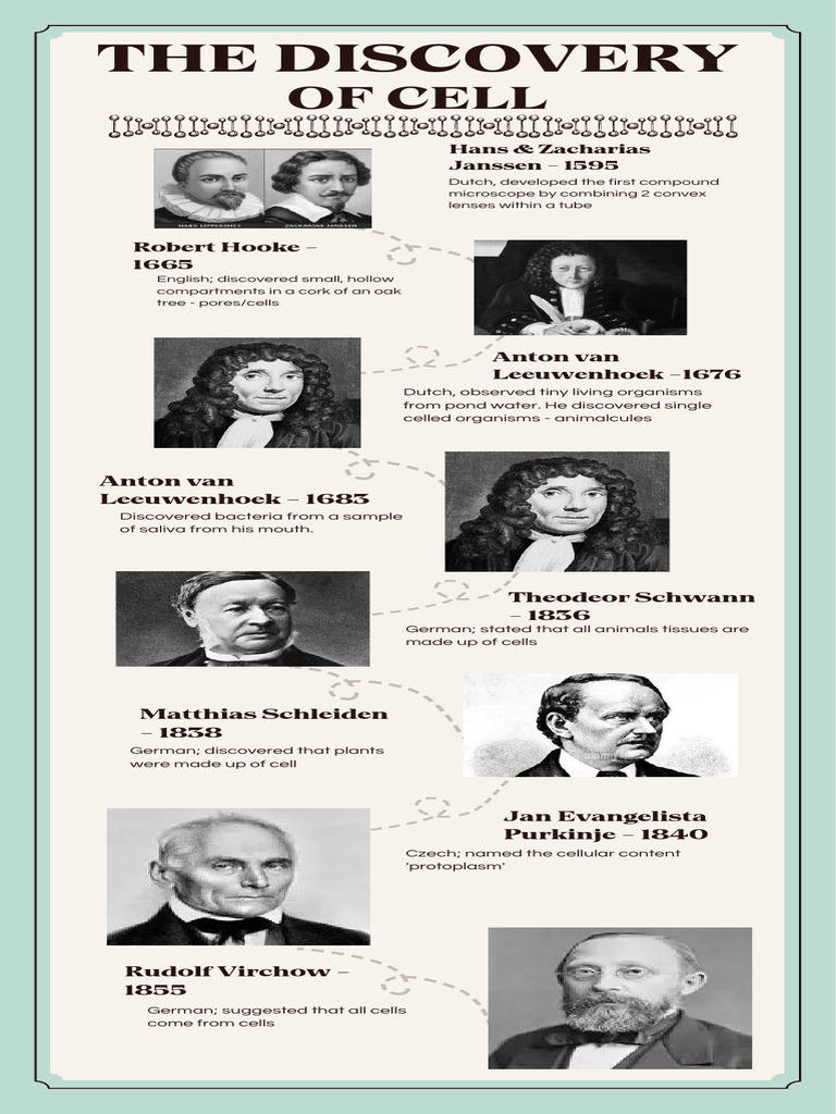 Key Discoveries in Cell Theory | PDF
