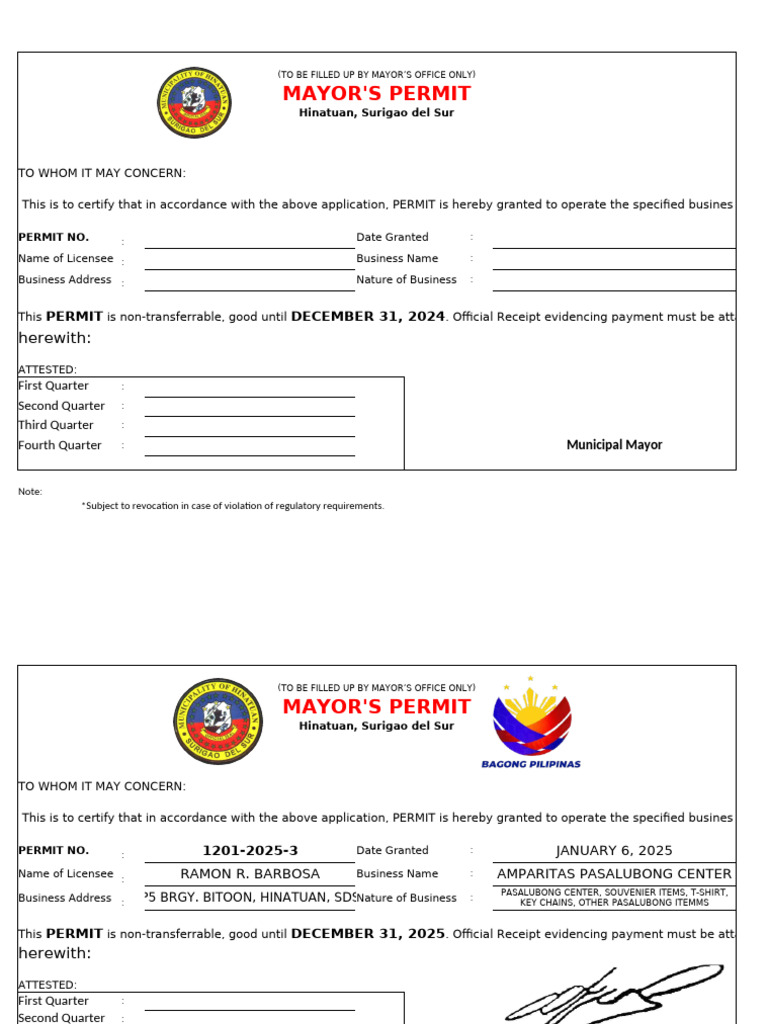 Mayor's Business Permit Hinatuan 2025 | PDF