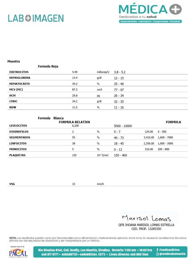 Resultados de Análisis de Laboratorio 2024 | PDF | Sangre | Hematología