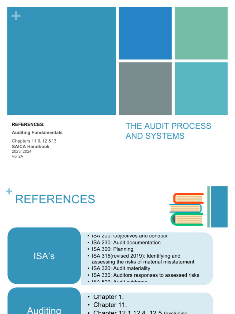 1.1 Systems and The Audit Process (2) 2 | PDF
