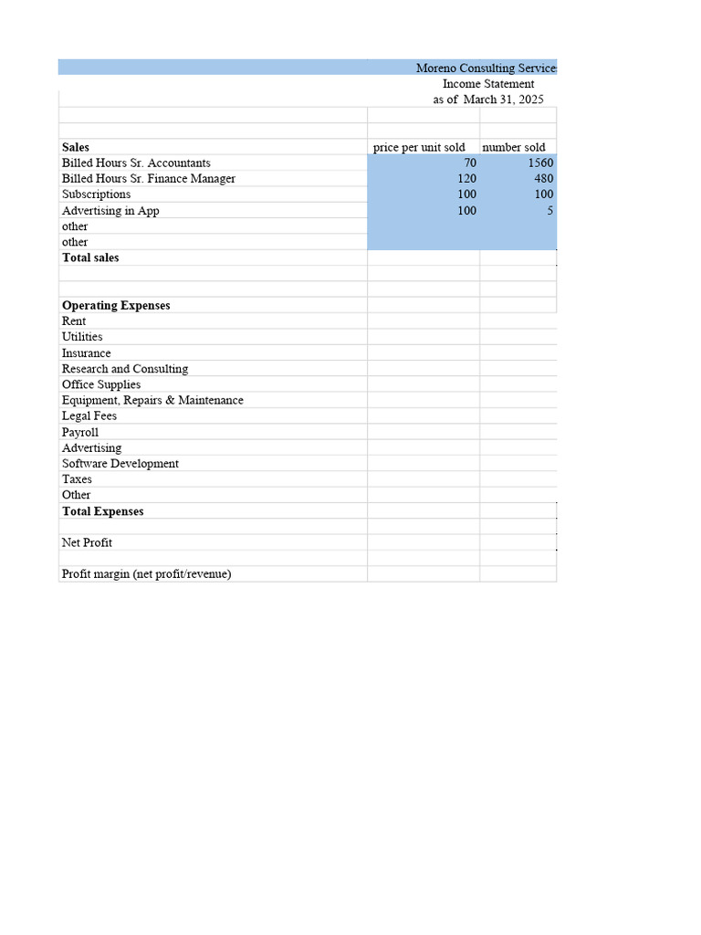 Income Statement Template For First Time Entrepreneurs | PDF | Revenue ...