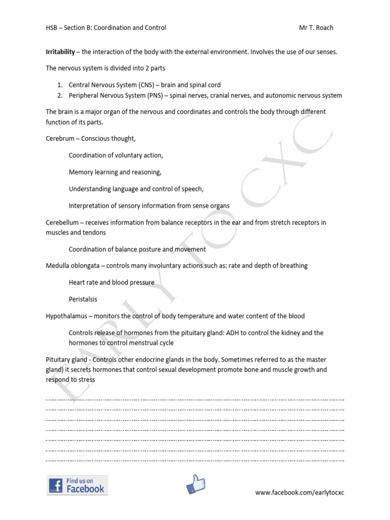 HSB Section B Coordination and Control | PDF | Central Nervous System ...