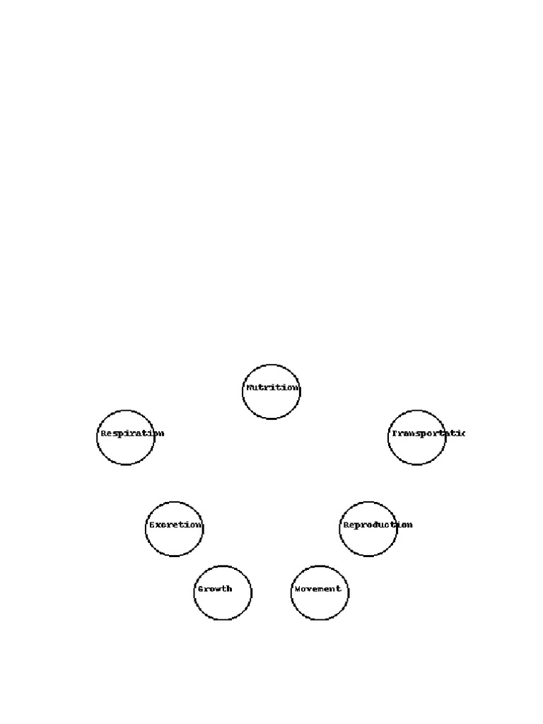 Life Processes Notes | PDF